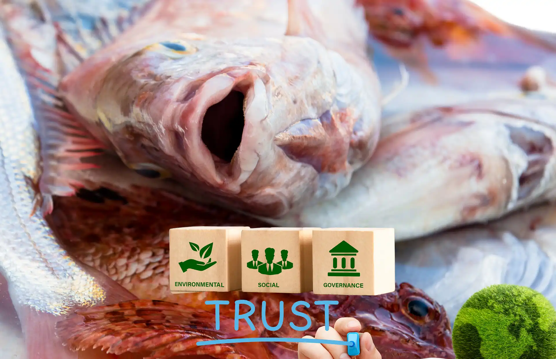 Trusted resource Rockfish